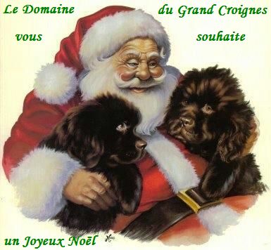 Du Domaine du Grand Croignes - Joyeux Noël !!!! 