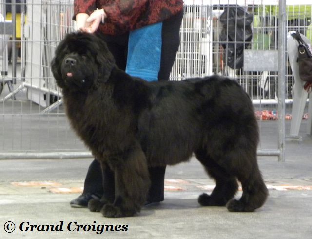 Du Domaine du Grand Croignes - EXPO de Marseille